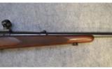 Winchester Mod 70 ~ Pre '64 ~ .270 Win - 4 of 9