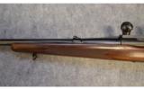 Winchester Mod 70 ~ Pre '64 ~ .270 Win - 6 of 9