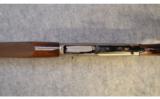 Browning A-5 Ducks Unlimited ~ 12 Gauge - 4 of 9