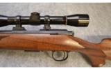 Cooper 57M~.17 HMR - 7 of 9