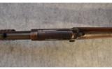 Winchester 1906
~
.22 S , L , LR - 9 of 9