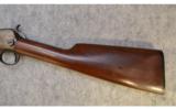 Winchester 1906
~
.22 S , L , LR - 8 of 9