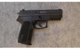 Sig Sauer SP2022 ~ 9mm - 1 of 2