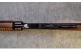 Henry .22 Pump Rifle ~ .22 S,L,LR - 9 of 10