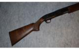 Browning BPS Special ~ 28 Gauge - 1 of 9