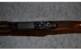 Marlin 30AW ~ .30-30 Winchester - 9 of 9