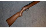 Ruger 10/22 Youth ~ .22 Long Rifle - 1 of 8