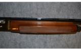 Beretta A 303 ~ 12 Gauge - 4 of 9