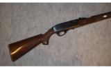 Remington Mohawk 10-C ~ .22 Long Rifle - 1 of 8