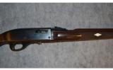Remington Mohawk 10-C ~ .22 Long Rifle - 3 of 8