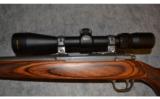 Ruger 77/22 ~ .22 WMR - 6 of 9