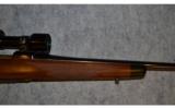 Ruger M77 Mark II Featherweight~ .257 Roberts - 4 of 9