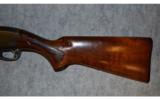 Remington 11-48 ~ 12 Gauge - 8 of 9
