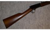 Henry Pump Rifle ~ .22 S , L , LR - 1 of 9