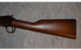 Henry Pump Rifle ~ .22 S , L , LR - 8 of 9