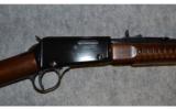 Henry Pump Rifle ~ .22 S , L , LR - 3 of 9