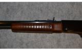 Henry Pump Rifle ~ .22 S , L , LR - 6 of 9