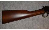 Henry Pump Rifle ~ .22 S , L , LR - 2 of 9