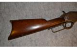Winchester ~ 1876 ~ .45- 60 - 2 of 9
