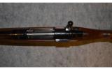 Interarms Whitworth ~ .458 Winchester - 9 of 9