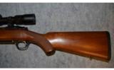Ruger M77 Mark II ~ .270 Winchester - 8 of 9