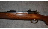 Mauser Modelo Argentino 1909 ~ .25-06 Remington - 7 of 9