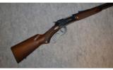 Winchester Model 9410 ~ .410 Bore - 1 of 9