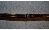 Henry Large Loop Carbine ~ .22S,L,LR - 7 of 8