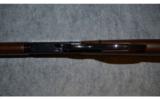 Henry Large Loop Carbine ~ .22S,L,LR - 8 of 8