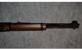 Henry Large Loop Carbine ~ .22S,L,LR - 4 of 8