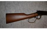 Henry Large Loop Carbine ~ .22S,L,LR - 2 of 8