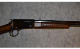 Henry Pump Rifle ~ .22 Magnum - 3 of 9
