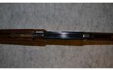 Henry Pump Rifle ~ .22 Magnum - 8 of 9