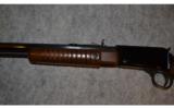 Henry Pump Rifle ~ .22 Magnum - 5 of 9