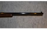 Henry Pump Rifle ~ .22 Magnum - 4 of 9