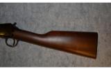 Henry Pump Rifle ~ .22 Magnum - 7 of 9