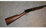 Henry Pump Rifle ~ .22 Magnum - 1 of 9
