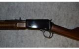Henry Pump Rifle ~ .22 Magnum - 6 of 9