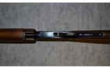 Henry Pump Rifle ~ .22 Magnum - 9 of 9