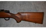 Remington Model Seven ~ .260 Remington - 7 of 9