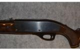 Remington Nylon 66 ~ .22 Long Rifle - 6 of 9