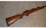 CZ 550 Safari Magnum ~ .458 Lott - 1 of 9