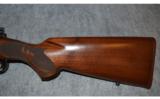Winchester 70 Featherweight ~ .257 Roberts - 8 of 9