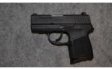 Sig Sauer 290RS ~ 9mm - 1 of 2