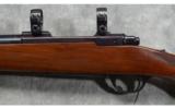Ruger ~ M77 ~ .243 Win. - 8 of 9