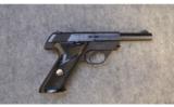 High Standard Sport King
~
.22 LR - 1 of 2