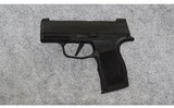 Sig Sauer ~ P365 X ~ 9 MM - 2 of 2