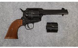 Chiappa Firearms Italy ~ Plinkerton ~ .22 LR/ .22 Mag - 1 of 2