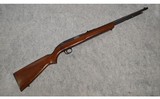 Winchester ~ Model 77~ .22LR - 1 of 10