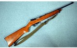 Ruger ~ 10/22 ~ .22LR
